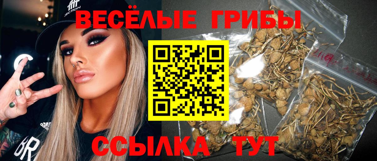 Псилоцибиновые грибы MAGIC MUSHROOMS Новотроицк